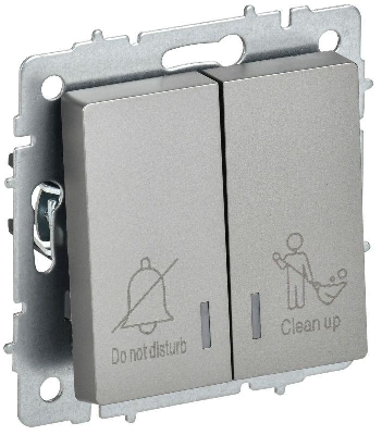 Выключатель 2-кл. BRITE 10А ВС10-2-9-БрС для отелей с индик. механизм сталь IEK BR-V20-2-10-K46