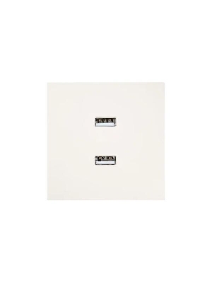 Розетка 2-мест. USB разъем СП ZIMA IP20 слон. кость LEZARD 704-9088-192