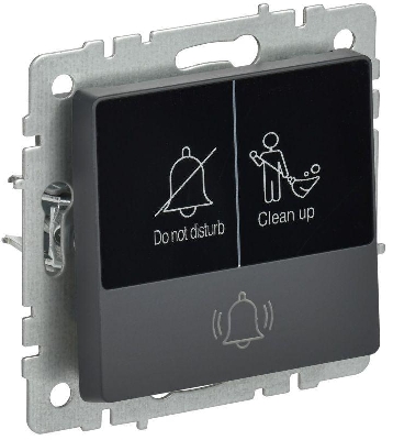 Кнопка звонка BRITE 10А ВС10-1-9-БрГ для отелей с индик. механизм графит IEK BR-V14-2-10-K53