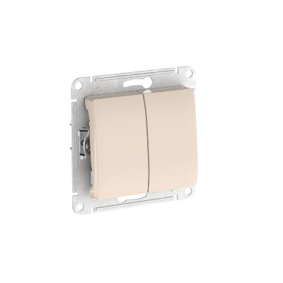 Выключатель 2-кл. Glossa (сх. 5) 10AX быстрозажим. клем. механизм беж. SE GSL000251S