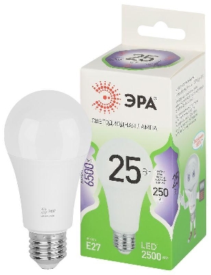 Лампа светодиодная GREEN LINE A60-25W-865-E27 GL 25Вт груша 6500К свет холод. E27 Эра Б0067111