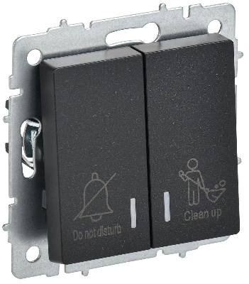 Выключатель 2-кл. BRITE 10А ВС10-2-9-БрЧ для отелей с индик. механизм черн. IEK BR-V20-2-10-K02