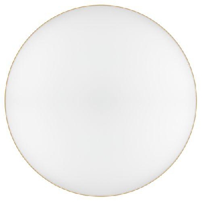 Светильник светодиодный Relict 48 Pult SPB-6-60-RC MG 60Вт 3000-6500К потолочный с ДУ золото ЭРА Б0059498