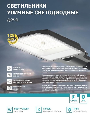 Светильник уличный линзованный светодиодный ДКУ-2L 200Вт 230В 5000К 25000лм 125лм/Вт 48-70мм IP65 NEOX 4690612057699
