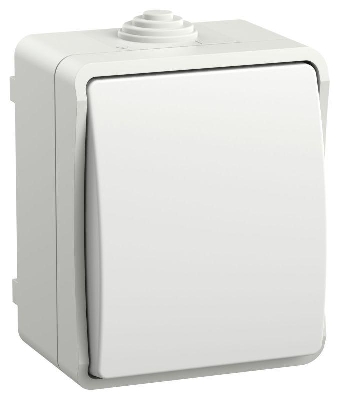 Выключатель кнопочный 1-кл. ОП Форс IP54 ВСк20-1-0-ФБ бел. IEK EVS13-K01-10-54-DC