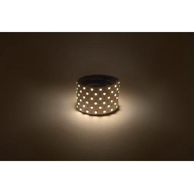 Лента светодиодная LS5050 -14.4-60-12-3000K-IP20-1 year-5m тепл. бел. (уп.5м) Эра Б0059909