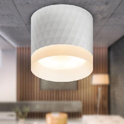 Светильник OL37 WH GX53 IP20 настенно-потолочный спот бел. ЭРА Б0056385