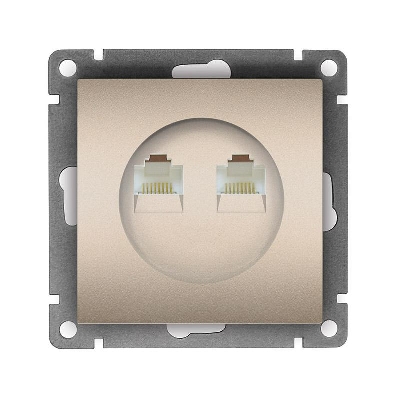 Розетка компьютерная 2-м СП Афина RJ45 кат.5E механизм шампань Universal A1086-Br