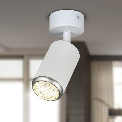 Светильник OL55 MR16 GU10 IP20 WH/SL настенно-потолочный спот бел./серебро ЭРА Б0061890