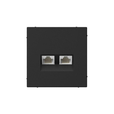 Розетка компьютерная 2-м ArtGallery RJ45 + RJ45 кат.5E механизм карбон SE GAL001085