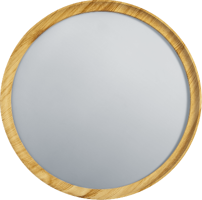 Светильник светодиодный 93 458 NLF-C-024-02 NAVIGATOR 93458