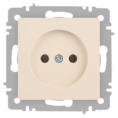 Розетка 1-м СП Accent 6-201-02 16А IP20 250В 2P сл. кость Intro Б0063659