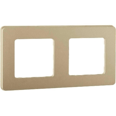 Рамка 2-м Inspiria шампань IEK 673948