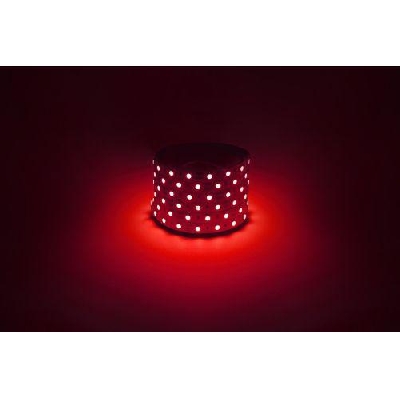 Лента светодиодная LS5050 -14.4-60-12-R-IP20-1 year-5m красн. (уп.5м) Эра Б0059919
