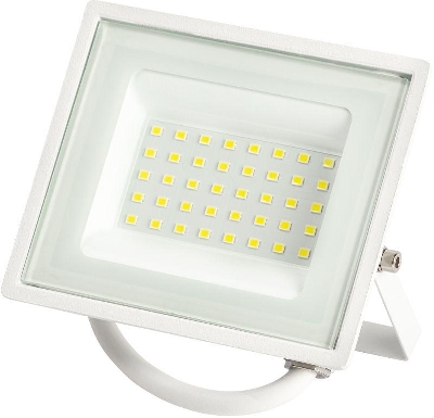 Прожектор светодиодный LPR-023-W-65K-030 30Вт 6500К 2400Лм IP65 уличный бел. ЭРА Б0054641