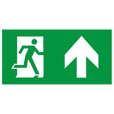 Этикетка самоклеящаяся INFO-SSA-127 бэклит 259х135мм Человек-стрелка-вверх зел. SSA-103 ЭРА Б0064714