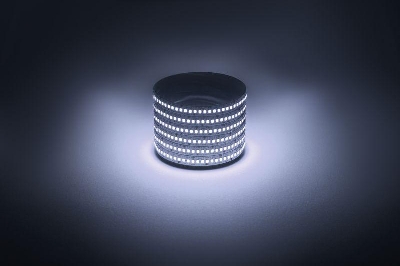 Лента светодиодная LS2835 -19.2-240-12-6500K-IP20-1 year-5m холод. бел. (уп.5м) Эра Б0059908