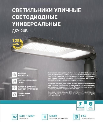 Светильник уличный линзованный светодиодный ДКУ-2UB 50Вт 230В 5000К 6250лм 125лм/Вт универсальный IP65 NEOX 4690612057415