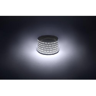 Лента светодиодная LS2835 -14.4-180-12-6500K-IP20-1 year-5m холод. бел. (уп.5м) Эра Б0059905