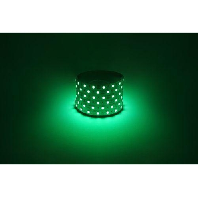 Лента светодиодная LS5050 -14.4-60-12-G-IP20-1 year-5m зел. (уп.5м) Эра Б0059920