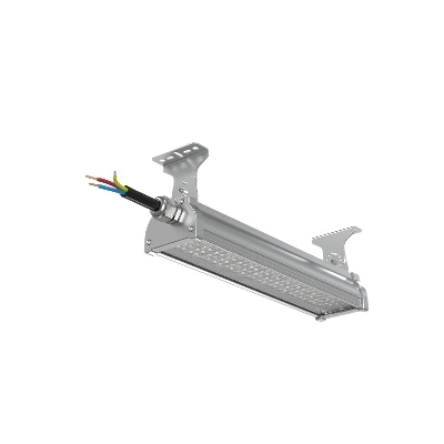 Светильник светодиодный ДСП WP 24 C 30W VW 840 L400 EL SI CL 400х220х190мм 30Вт 4000К IP66 пылевлагозащ. Русский Свет 27072423955