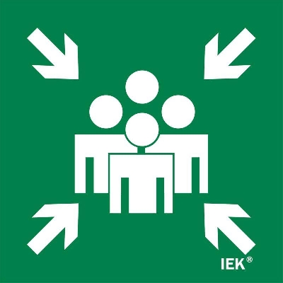 Этикетка самоклеящаяся 150х150мм "Место сбора" IEK LPC10-1-15-15-MSTS