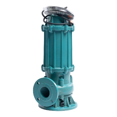 Насос ГНОМ-М 10-10-50/0.75-380 ESQ 02.31.216201