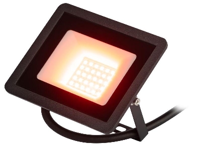 Прожектор светодиодный уличный LPR-025-RED-030 30Вт красн. свечение 600лм IP65 Эра Б0064721