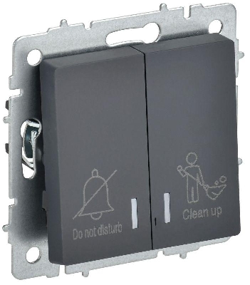 Выключатель 2-кл. BRITE 10А ВС10-2-9-БрГ для отелей с индик. механизм графит IEK BR-V20-2-10-K53