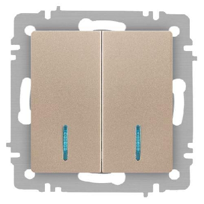 Выключатель 2-кл. СП Accent 6-105-04 10А IP20 250В с подсветкой AL/CU шампань Intro Б0063513