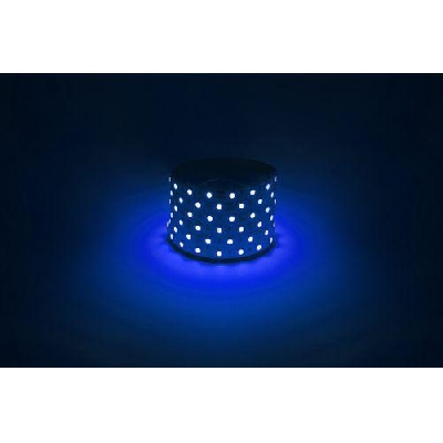 Лента светодиодная LS5050 -14.4-60-12-B-IP20-1 year-5m син. (уп.5м) Эра Б0059921