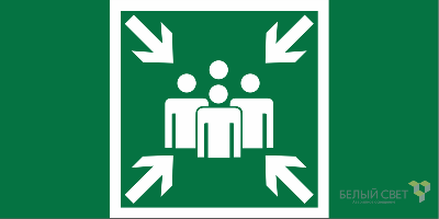 Знак безопасности BL-2010B.E21 "Пункт (место) сбора" Белый свет a19711