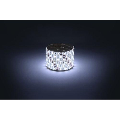 Лента светодиодная LS5050 -14.4-60-12-6500K-IP65-1 year-5m холод. бел. (уп.5м) Эра Б0059914