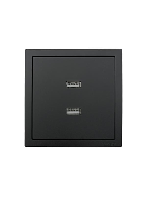 Розетка 1-мест. с 2-мест. USB разъем СП ZIMA IP20 черн. бархат LEZARD 704-4288-192