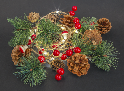 Гирлянда светодиодная "Шишки" 93 674 NGF-D024-01 2AA Navigator 93674