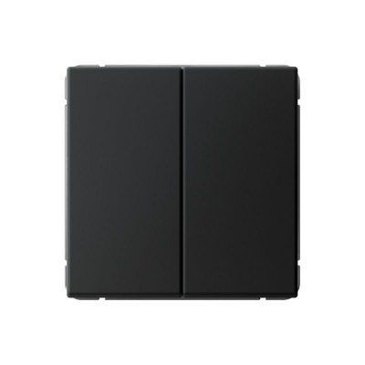 Переключатель 2-кл. ArtGallery 10AX быстрозажим. клем. механизм карбон SE GAL001065S