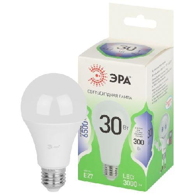 Лампа светодиодная GREEN LINE A65-30W-865-E27 GL 30Вт груша 6500К свет холод. E27 Эра Б0067145