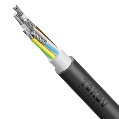 Кабель TOKOV ELECTRIC АВВГнг(А)-LS 5х25 МК (N PE) 0.66кВ (м) 00-00072434